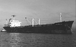 wp043897ec_0f.jpg